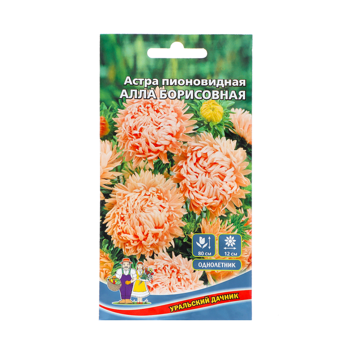 Семена Цветов Астра пионовидная Алла Борисовна ,0 ,2 г , семена цветов астра пионовидная флоренция 0 2 г