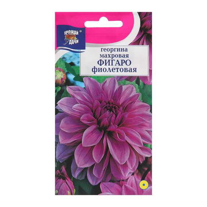 Семена цветов Георгина Фигаро, Фиолетовая, 0,04 г семена цветов георгина смесь фигаро 0 1 г