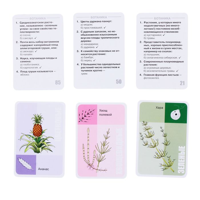 Настольная игра-викторина "Твой кругозор: Царство растений"