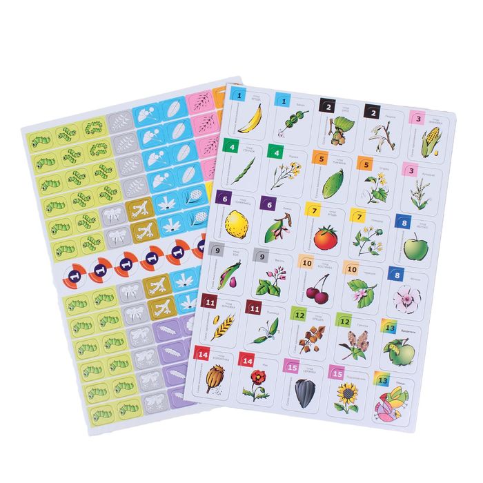 Настольная игра-викторина "Твой кругозор: Царство растений"