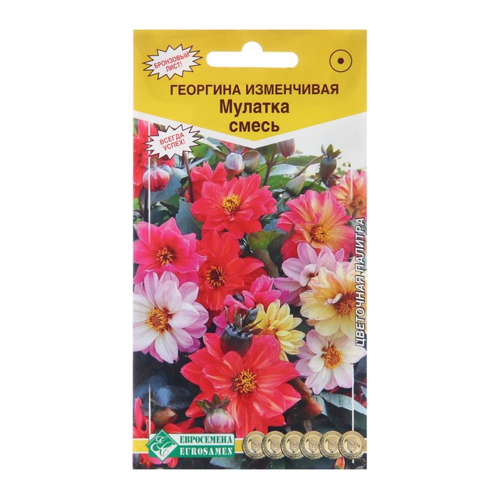 

Семена цветов Георгина изменчивая "Мулатка" смесь, 20 шт