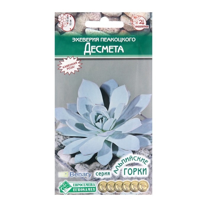 

Семена Эхеверия Пеакоцкого "Десмета", 5 шт