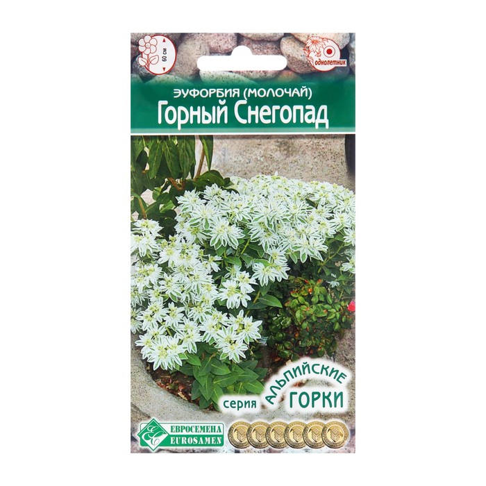 Семена Эуфорбия молочай окаймленный Горный Снегопад, 10 шт эуфорбия orangery euphorb lactea cristata 10 30