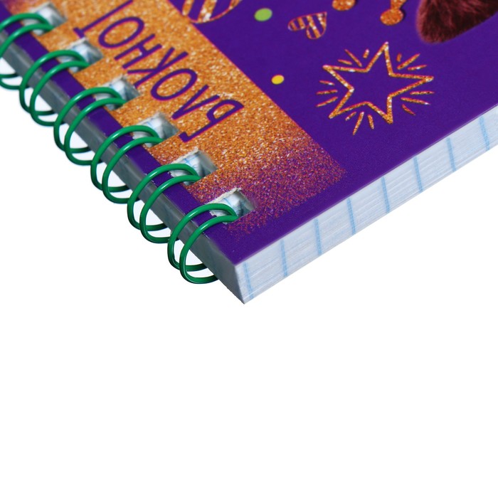 

Набор блокнотов А7, 40 листов в клетку на гребне "Животные", обложка мелованный картон, блок офсет, 8 штук