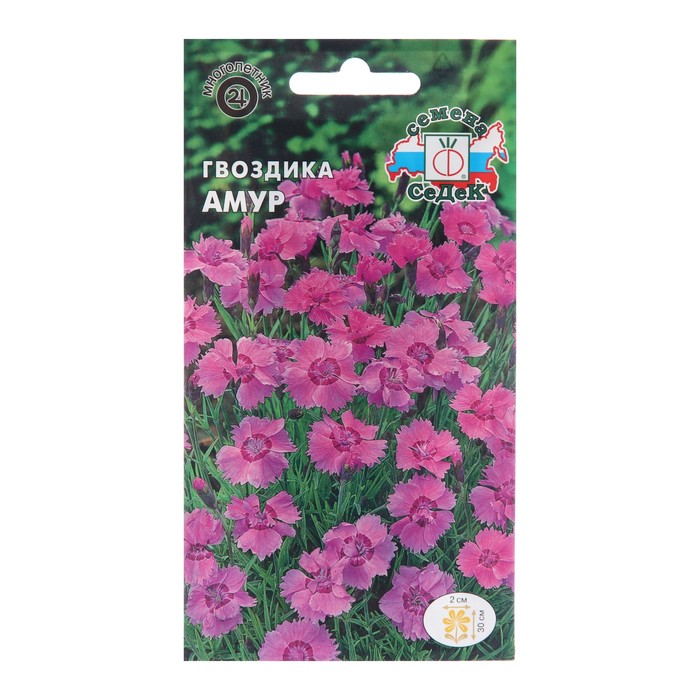 

Семена цветов Гвоздика "Амурамурская", Евро, 0,1 г