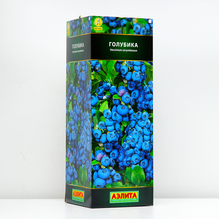 

Саженец Голубика Дюк (P9), 1 шт, Весна 2024