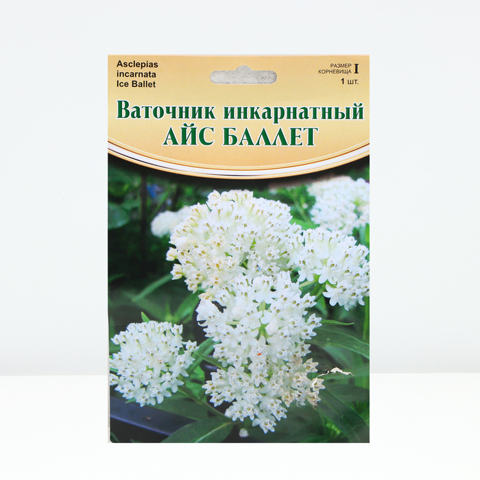 

Ваточник "Ice Ballet", р-р I, 1 шт, Весна 2024