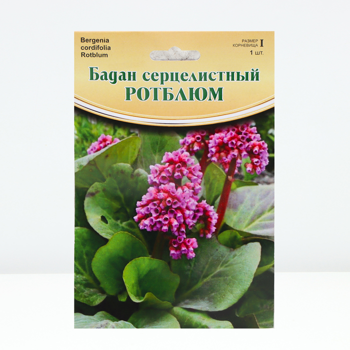 

Бадан "Rotblum", р-р I, 1 шт, Весна 2024