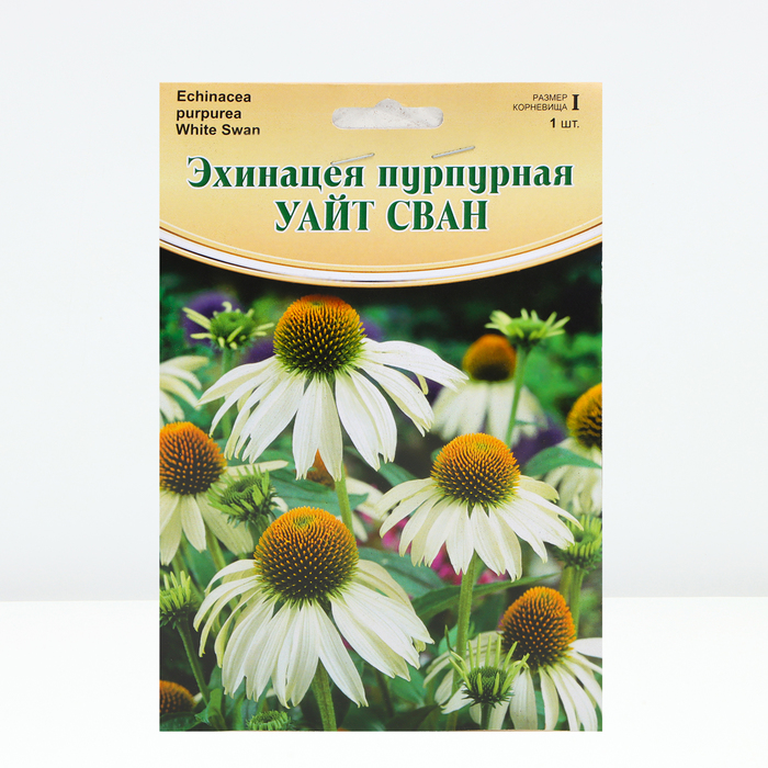 

Эхинацея "White Swan", р-р I, 1 шт, Весна 2024