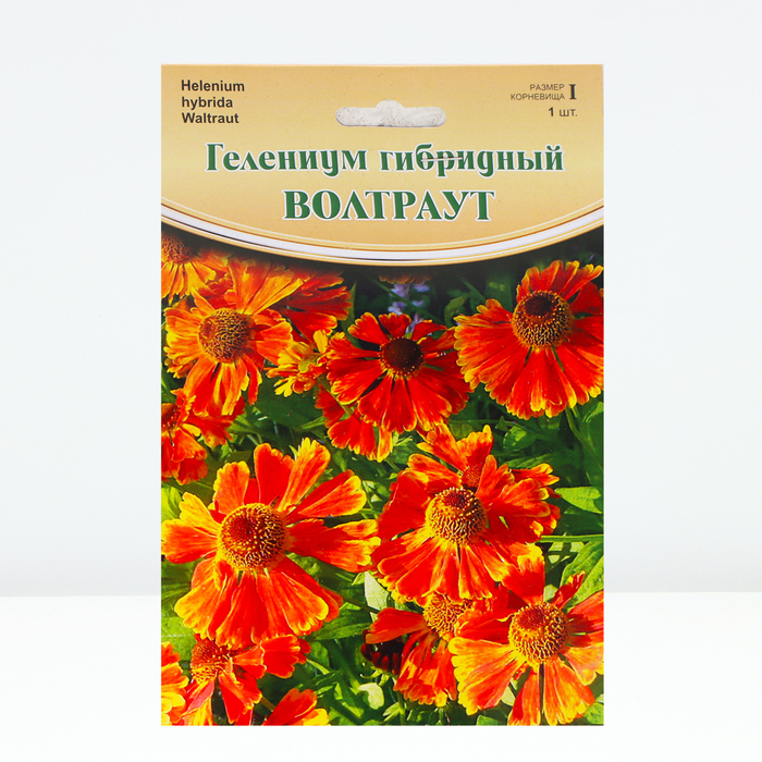 Гелениум Waltraut, р-р I, 1 шт, Весна 2024