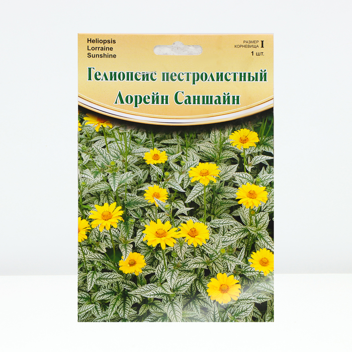 

Гелиопсис "Lorraine Sunshine ® PBR", р-р I, 1 шт, Весна 2024