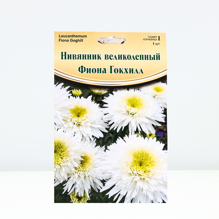 

Нивянник "Fiona Goghill", р-р I, 1 шт, Весна 2024