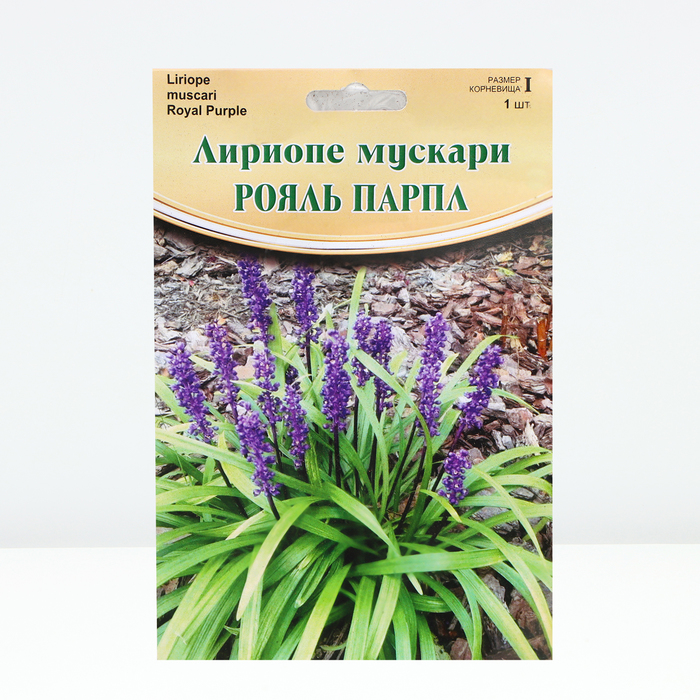 

Лириопе "Royal Purple", р-р I, 1 шт, Весна 2024