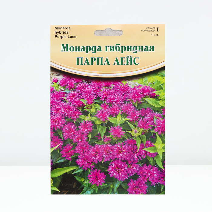Монарда Purple Lace ® PBR, р-р I, 1 шт, Весна 2024