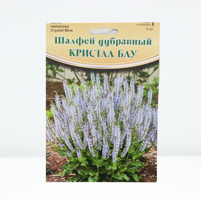 

Шалфей "Crystal Blue® PBR", р-р I, 1 шт, Весна 2024