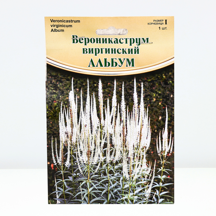 

Вероникаструм "Album", р-р I, 1 шт, Весна 2024