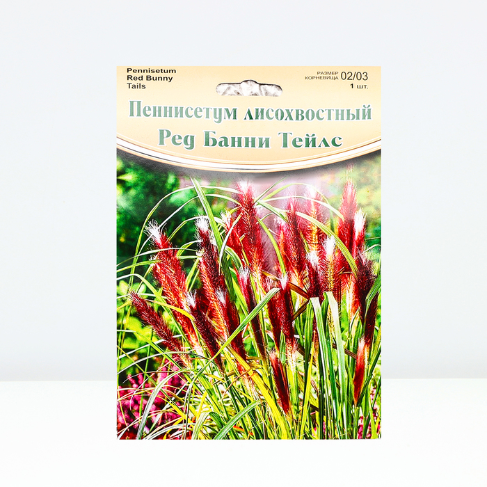 

Пеннисетум "Red Bunny Tails", р-р 02/03, 1 шт, Весна 2024