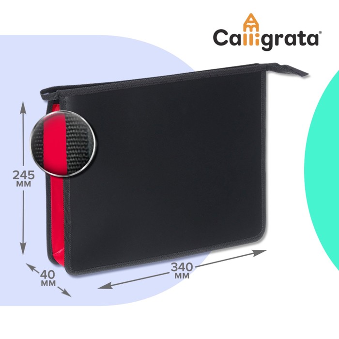 Папка пластиковая А4, 340 х 245 х 40 мм, молния сверху, пластиковая, Calligrata TOP, чёрная/фуксия