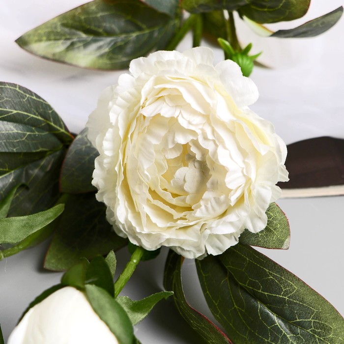фото Цветы искусственные "пион эльза" d-10 см 64 см, белый poetry in flowers