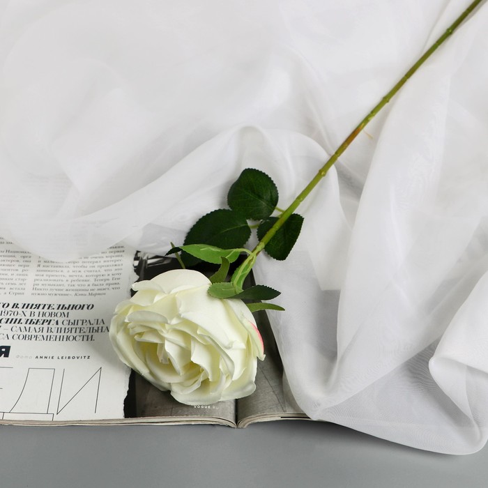 Цветы искусственные Роза Вивальди d-7 50 см, белый