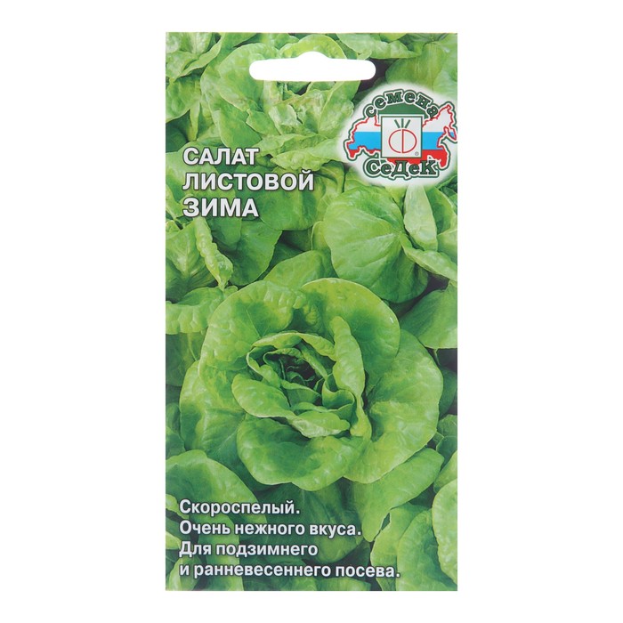 

Семена Салат "Зима" листовой, 0,5 г