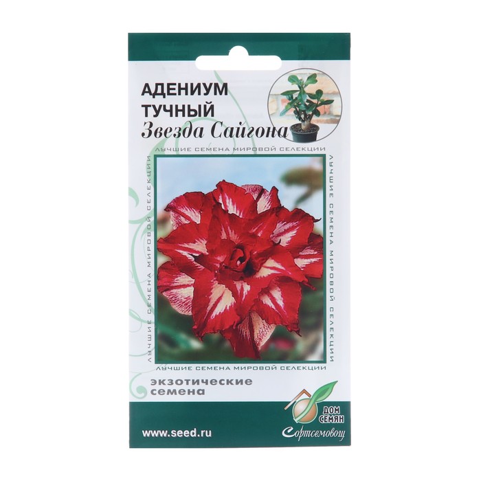 Семена цветов Адениум тучный Звезда Сайгона, 3 шт