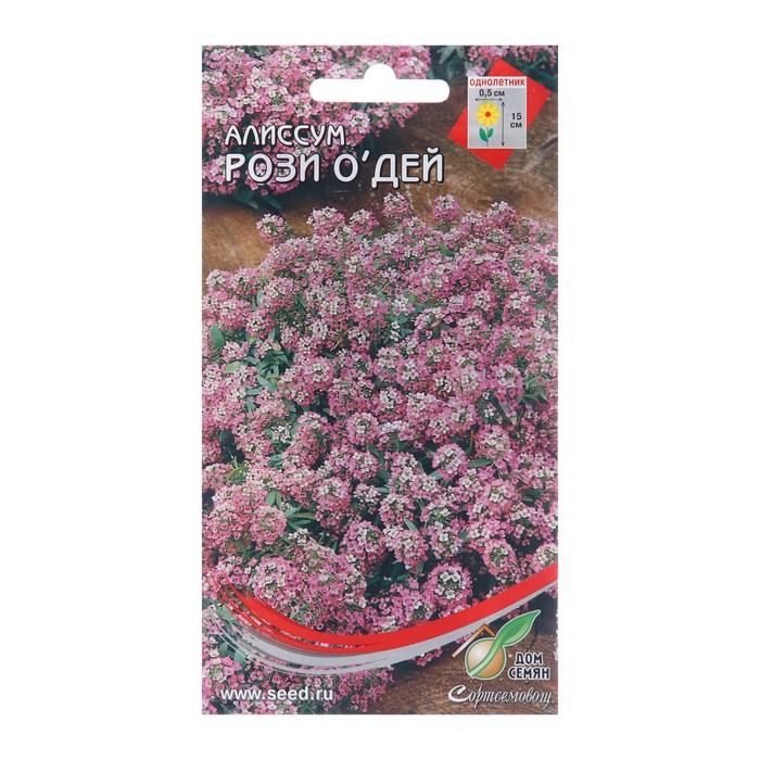 Семена цветов Алиссум Рози О Дей, 180 шт