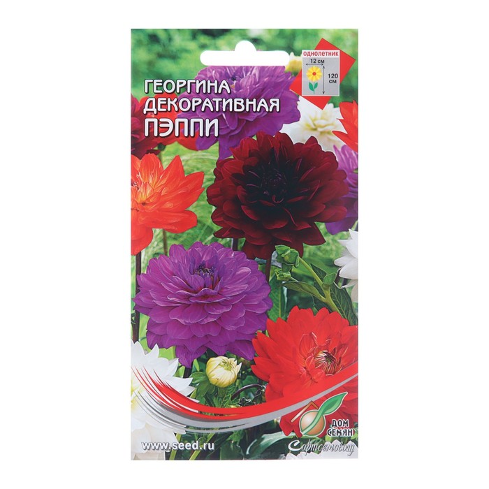 Семена цветов Георгина декоративная Пэппи, 15 шт