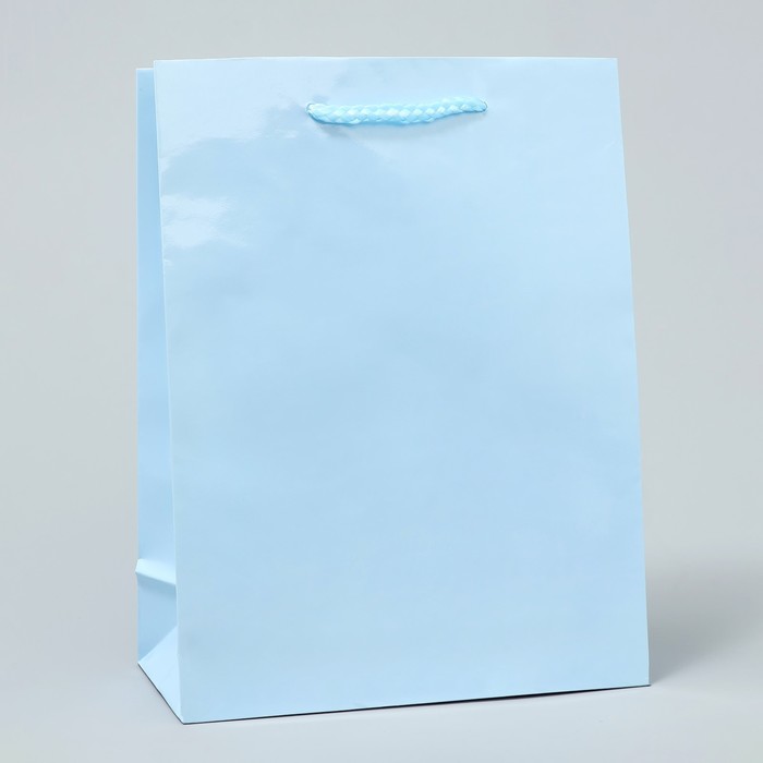 Пакет подарочный ламинированный, упаковка, «Голубой», MS 18 х 23 х 8 см пакет ламинированный цветы ms 18 х 23 х 8 см