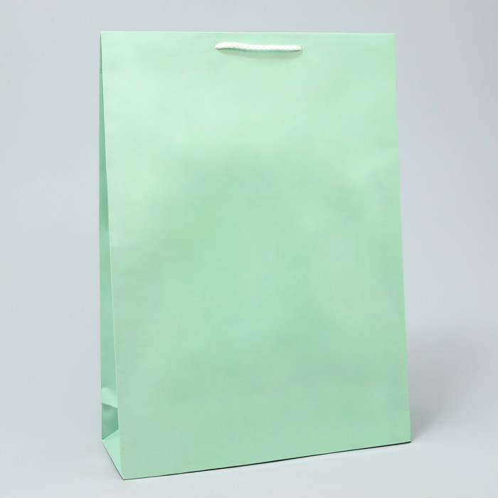 Пакет подарочный ламинированный, упаковка, Green, L 28 х 38 х 9 см