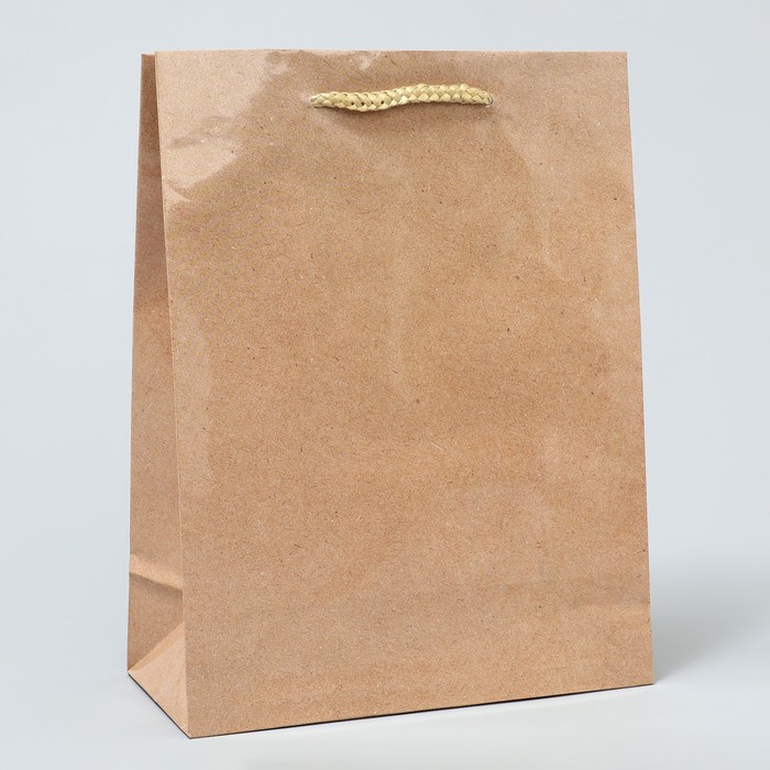 Пакет подарочный ламинированный, упаковка, «Крафт», MS 18 х 23 х 8 см пакет ламинированный цветы ms 18 х 23 х 8 см