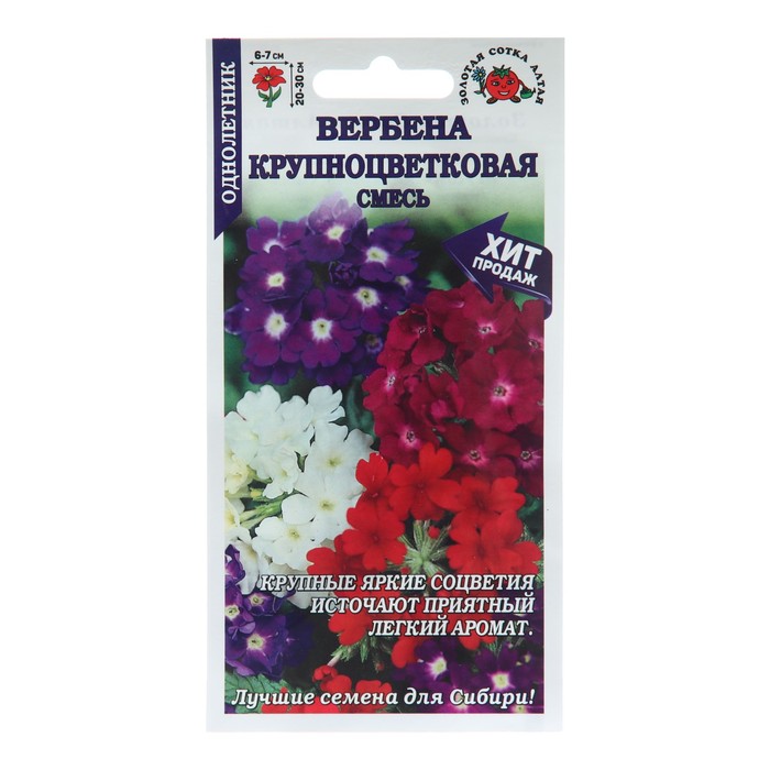 Семена цветов Вербена Крупноцветковая, 0,1 г цена и фото