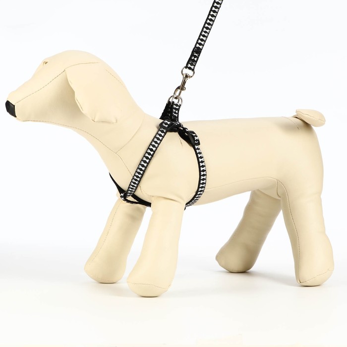 Комплект "Клетка" нейлон двуслойный, поводок 120 х 1 см, шлейка 28-40 х 1 см, черный