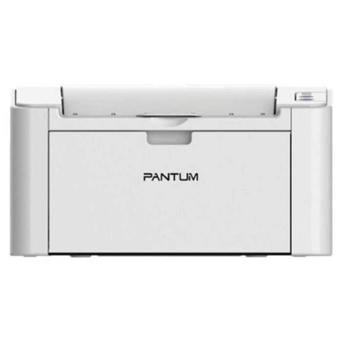 Принтер лазерный Pantum P2200 A4 серый цена и фото