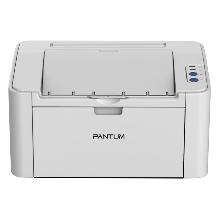 Принтер лазерный Pantum P2506W A4 WiFi серый цена и фото