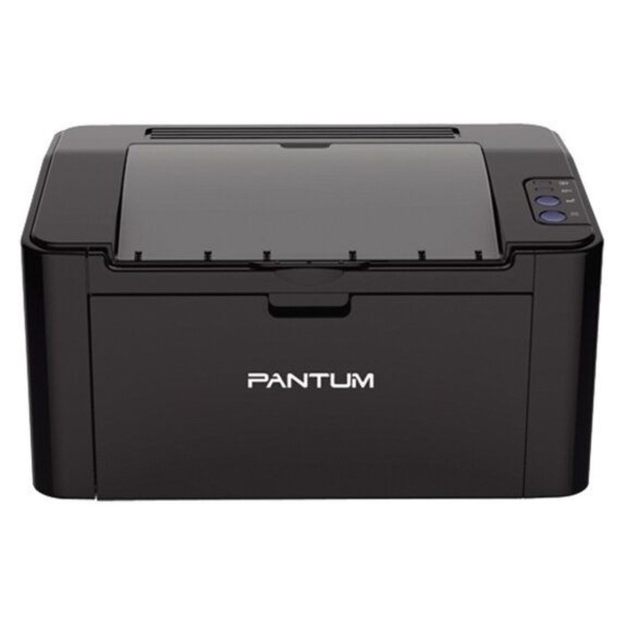 Принтер лазерный Pantum P2516 A4 черный принтер лазерный pantum p3020d a4 duplex