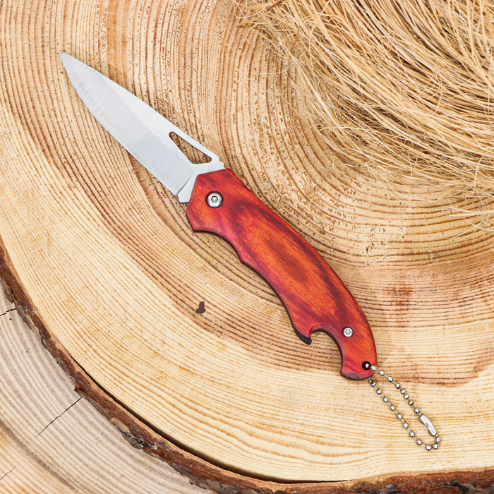 фото Нож складной с открывалкой, 15,5см, клинок 65мм/2мм