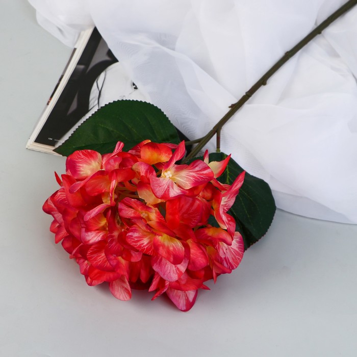 Цветы искусственные Гортензия элит d-18 см 50 см, красный цветы искусственные гортензия розита 60 см белый