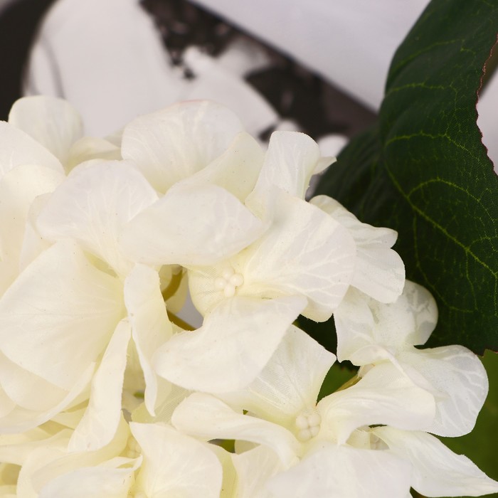 

Цветы искусственные "Гортензия элит" d-18 см 50 см, белый