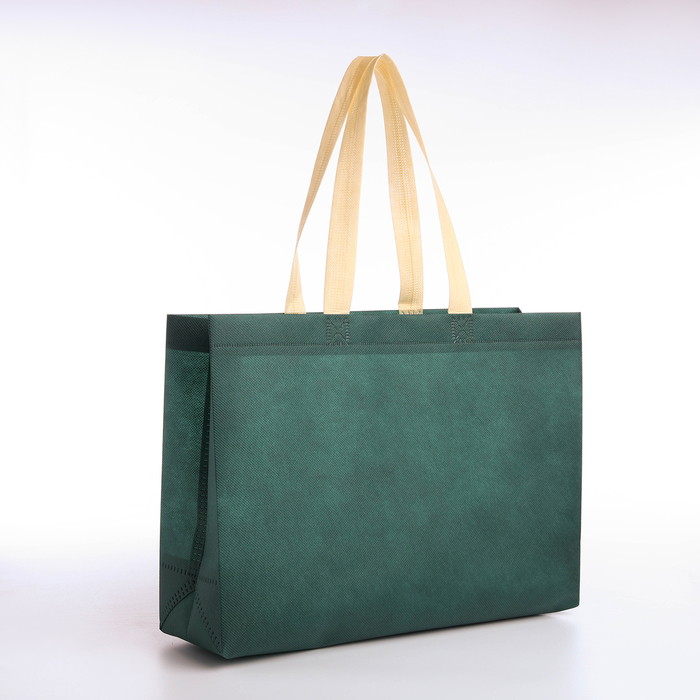 Сумка хозяйственная без застёжки, цвет зелёный сумка хозяйственная без застёжки 12 л цвет зелёный разноцветный