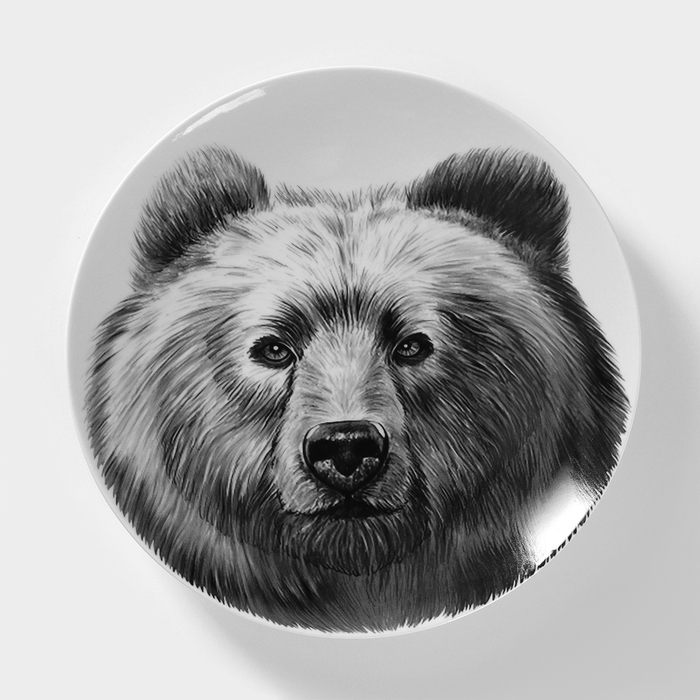 Тарелка фарфоровая «Медведь», d=24 см тарелка фарфоровая tramontano d 24 см