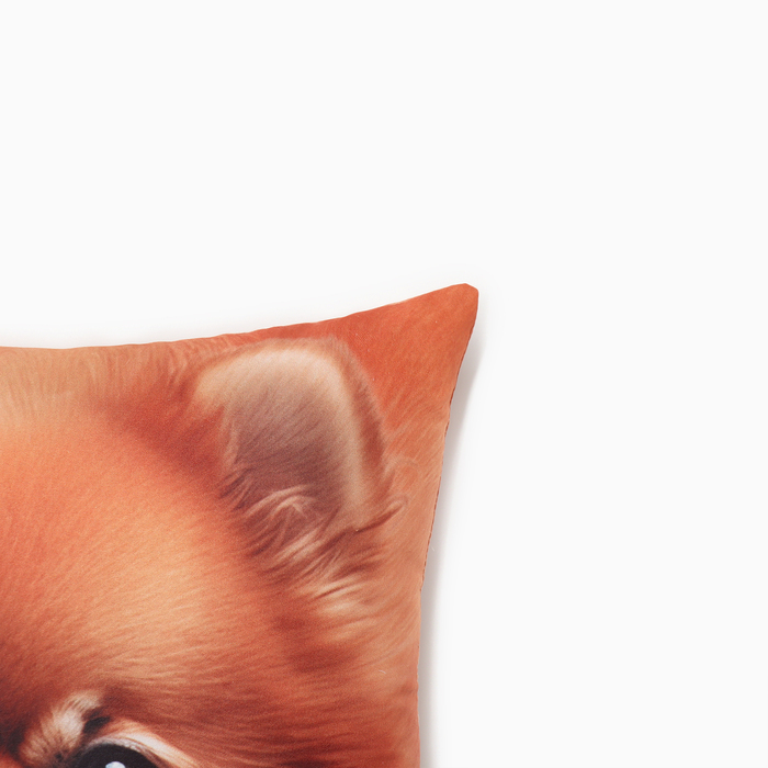 фото Подушка декоративная "шпиц" этель