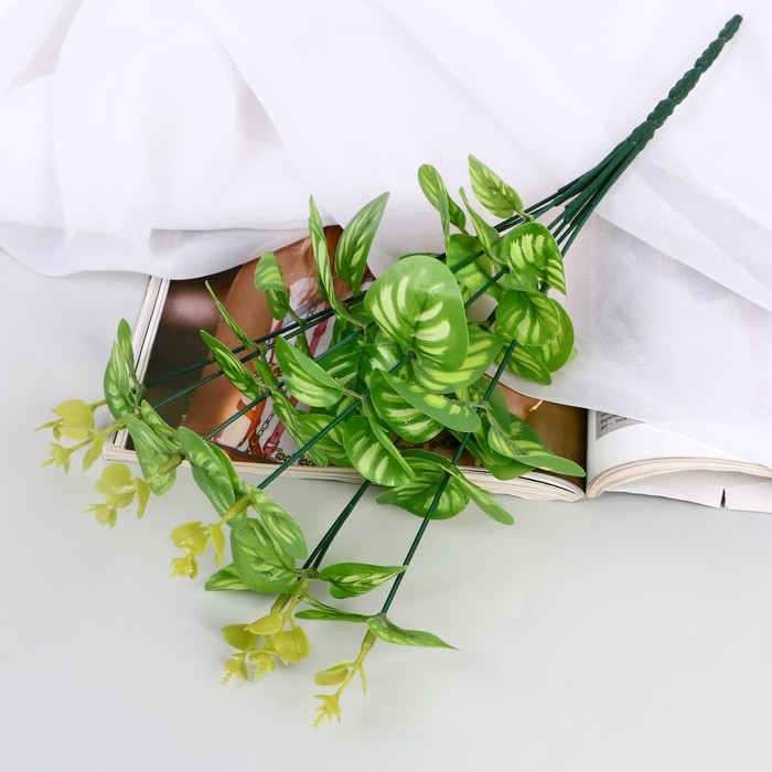 

Букет "Кассия декоративная" 29 см, микс