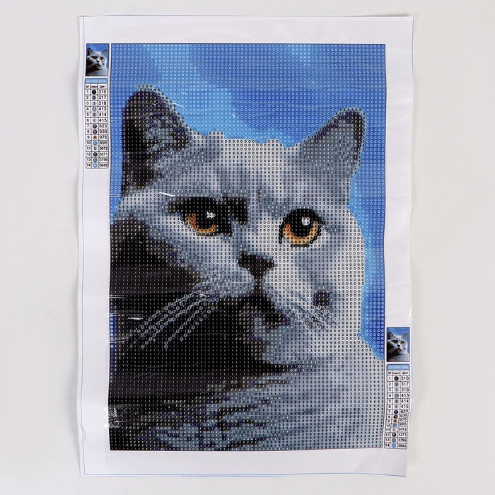 

Алмазная вышивка полное заполнение "Кот", на холсте, 20*30 см