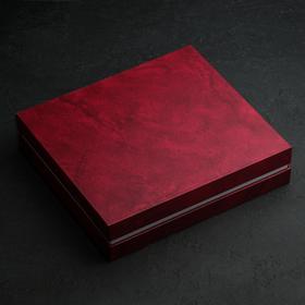 Набор столовый «Торжество», 2 мм, (М18) декоративная коробка, 24 предмета от Сима-ленд