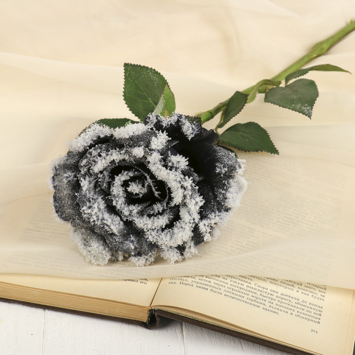 Цветок искусственный "Чёрная роза со снегом"
