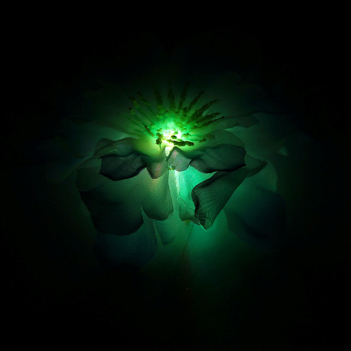 Зажим световой "Иберис" цвет синий