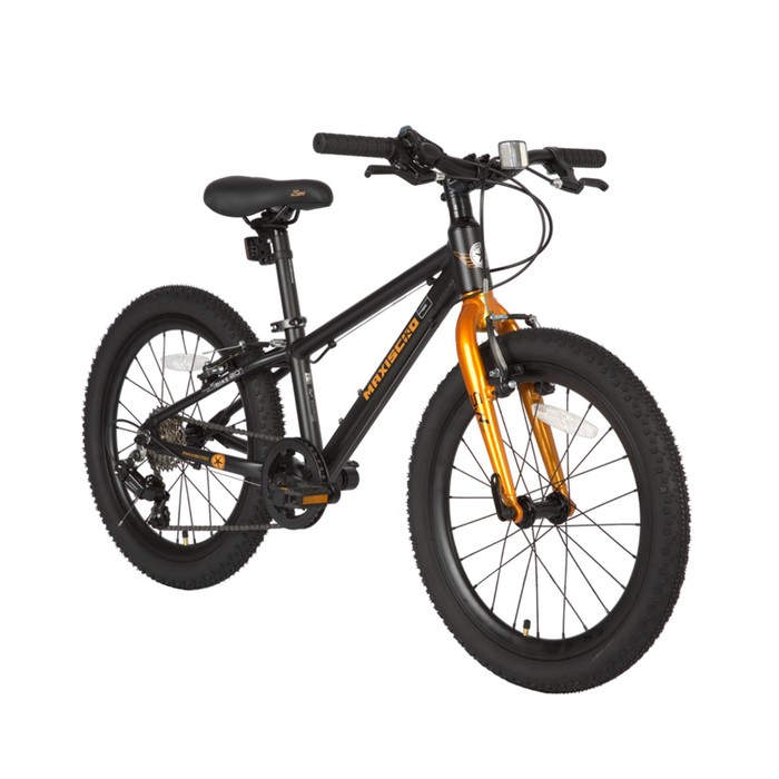 Велосипед 20'' Maxiscoo 5BIKE, цвет Черный Матовый, размер M