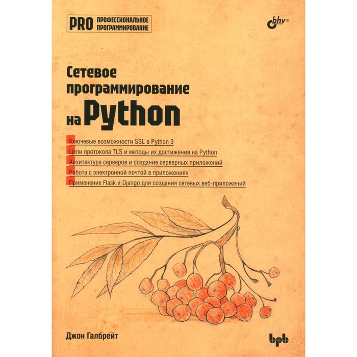 Сетевое программирование на Python. Галбрейт Дж. зейтц дж арнольд т black hat python программирование для хакеров и пентестеров 2 е изд