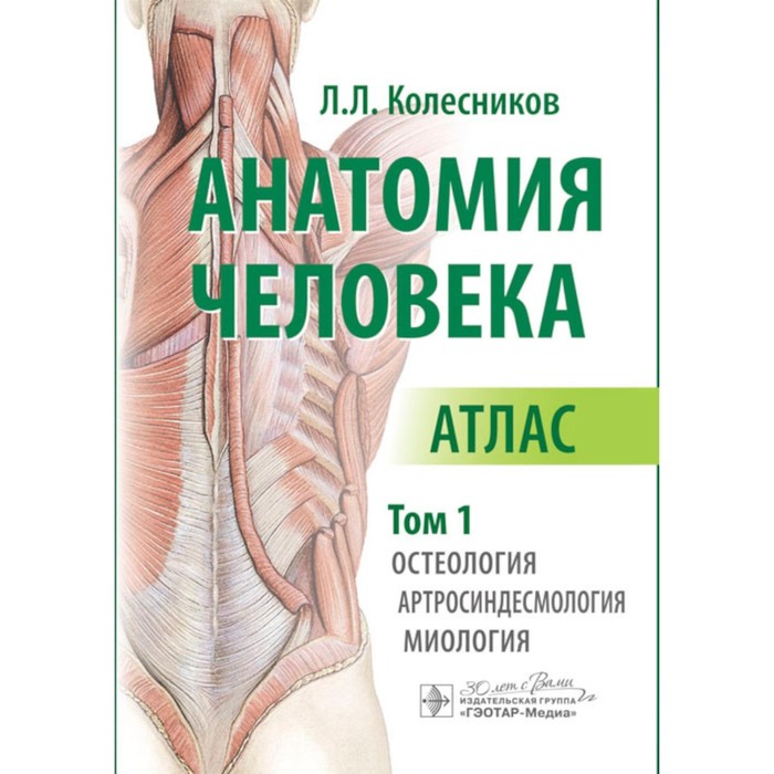 Анатомия человека. Атлас. Том 1. Остеология, артросиндесмология, миология. Колесников Л.Л.